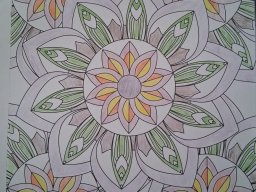 whatsapp image 2026-01-17 at 11.14.37